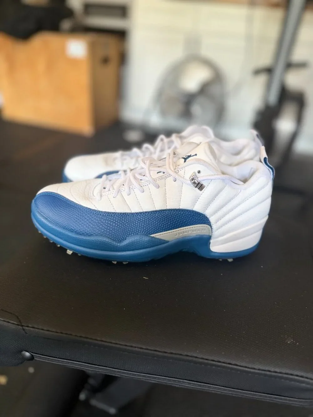 Nike Air Jordan 12 XII low golf shoes